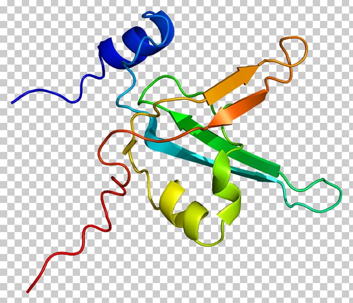 Replication Protein A1 Gene DNA PNG, Clipart, Animal Figure, Area, Artwork, Dna, Dnabinding Protein Free PNG Download