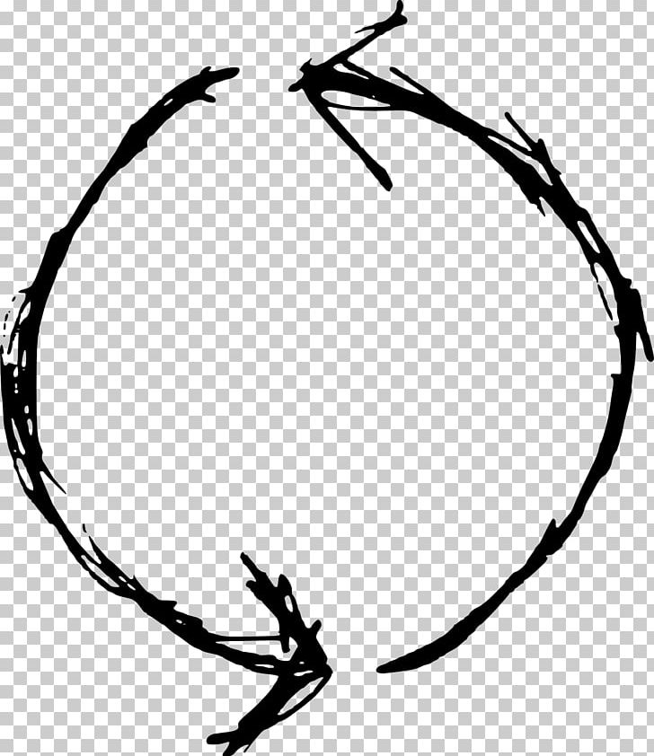 Circle Drawing PNG, Clipart, Artwork, Black And White, Branch, Circle, Computer Icons Free PNG Download