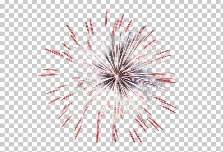 Fireworks Artificier PNG, Clipart, Artificier, Blog, Collage, Digital Image, Drawing Free PNG Download