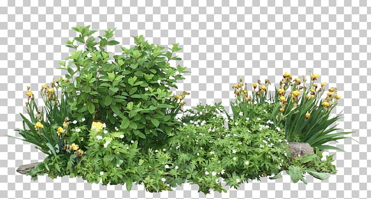 Flower YouTube Vernonia Baldwinii Poster PNG, Clipart, Art, Clipping Path, Creative Entrepreneurship, Evergreen, Flower Free PNG Download