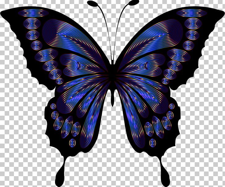 Monarch Butterfly Insect Brush-footed Butterflies Color PNG, Clipart, Arthropod, Brush Footed Butterfly, Butterfly, Chromatic, Color Free PNG Download