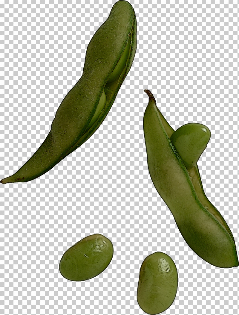 Plant Leaf Legume Parkia Speciosa Fruit PNG, Clipart, Caigua, Flower, Food, Fruit, Hyacinth Bean Free PNG Download