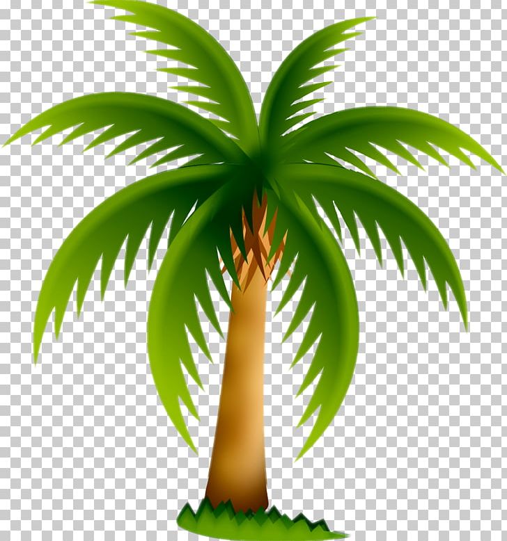 Arecaceae Date Palm Tree PNG, Clipart, Arecaceae, Arecales, Attalea, Attalea Speciosa, Borassus Flabellifer Free PNG Download