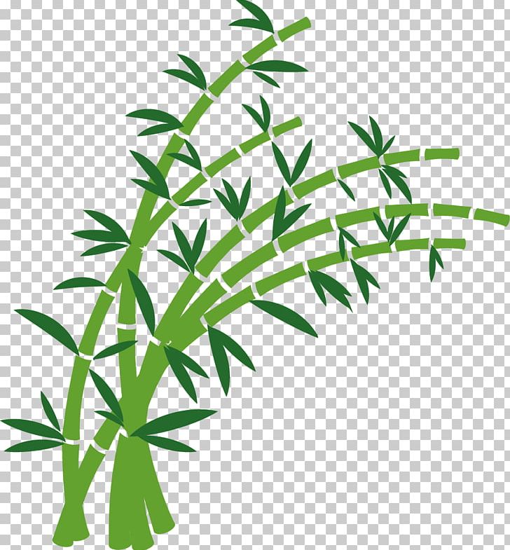 Bamboo Euclidean PNG, Clipart, Adobe Illustrator, Art, Bamboo And Plum Blossom, Bamboo Leaves, Bamboo Tree Free PNG Download