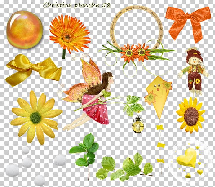 Floral Design Cut Flowers PNG, Clipart, Butterfly, Chrysanthemum, Chrysanths, Cut Flowers, Daisy Free PNG Download
