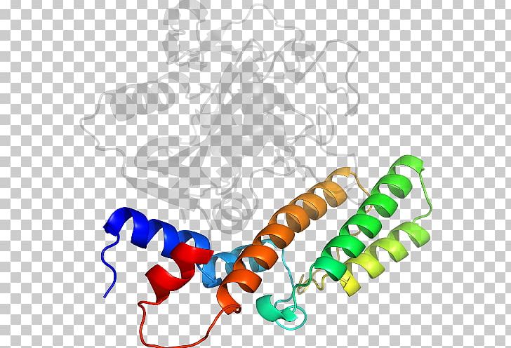 Line Organism PNG, Clipart, Art, Line, Organism, Poly Adpribose Polymerase, Text Free PNG Download