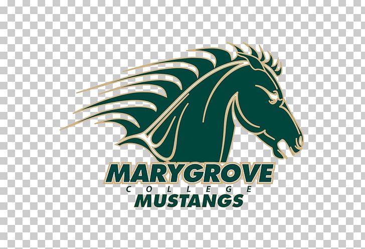 Marygrove College Madonna University Marygrove Mustangs Women's Basketball University Of St. Thomas Davenport University PNG, Clipart,  Free PNG Download