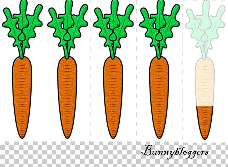 Pickled Cucumber Carrot Cake Cartoon PNG, Clipart, Carrot, Carrot Cake, Cartoon, Drawing, Food Free PNG Download