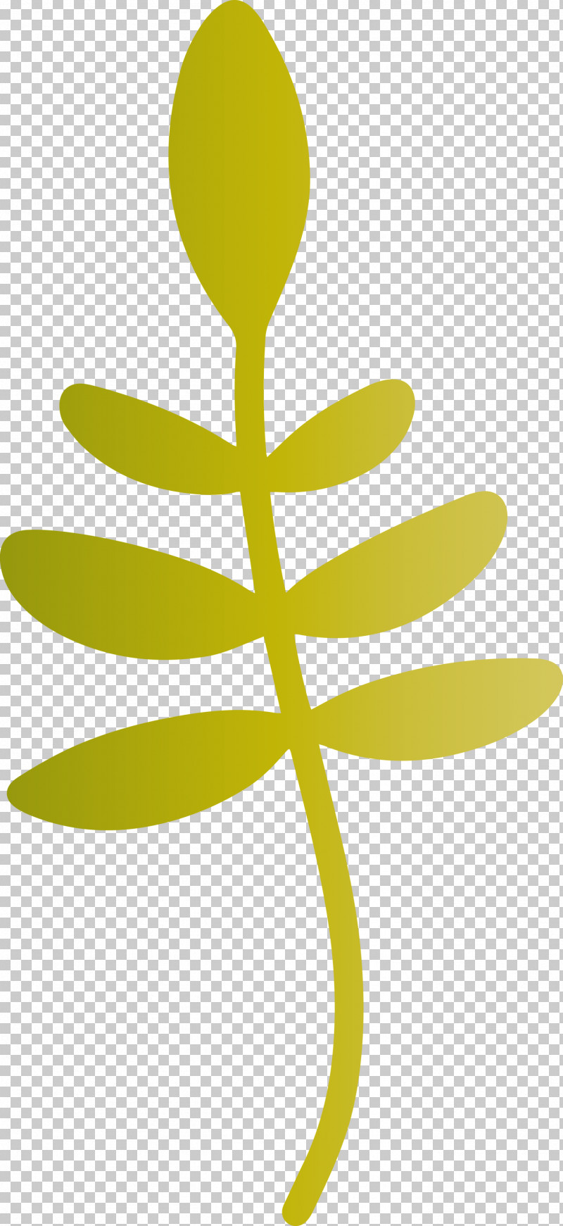 Leaf Plant Stem Flower Petal Tree PNG, Clipart, Flora, Flower, Leaf, Line, Petal Free PNG Download