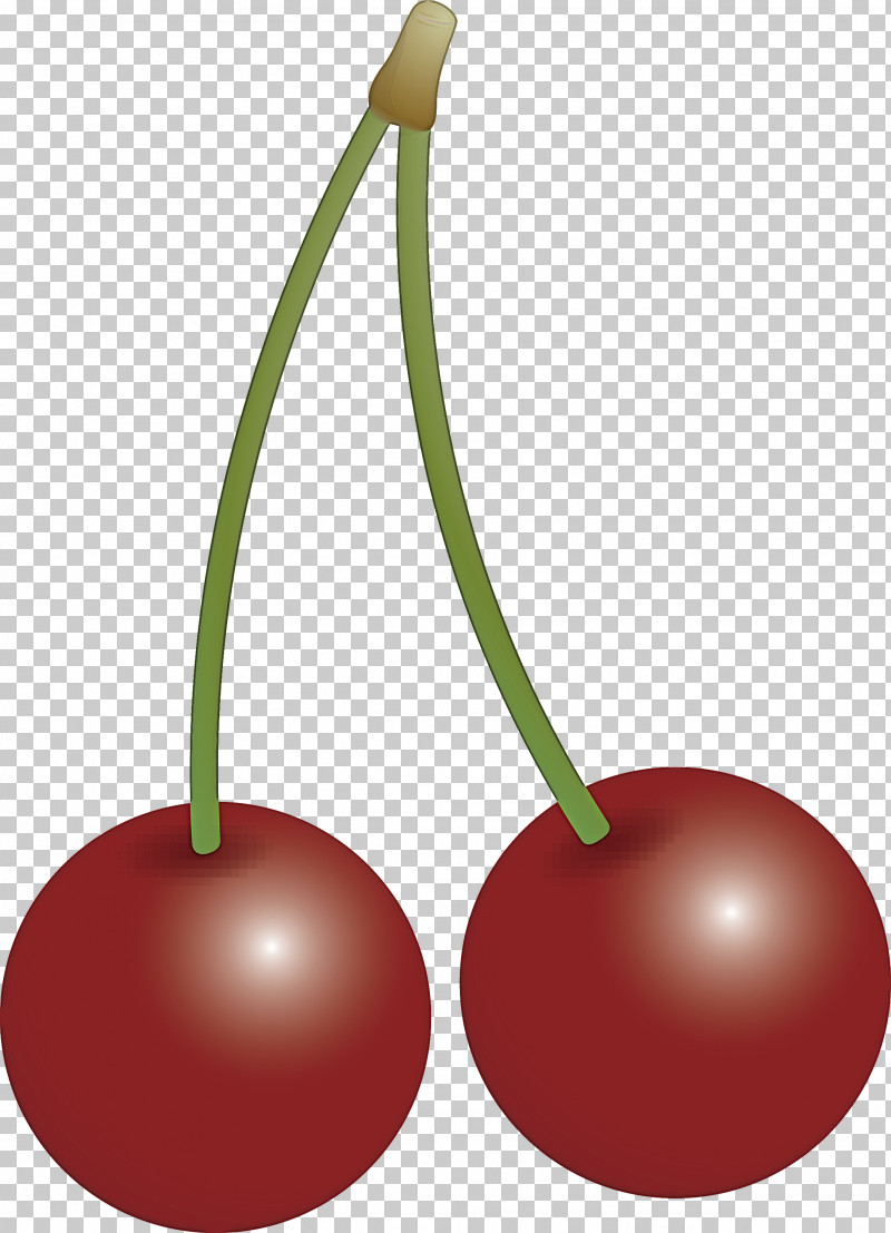 Cherry PNG, Clipart, Cherry, Drupe, Fruit, Plant, Prunus Free PNG Download