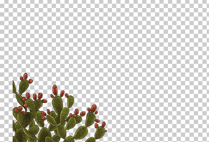 Citroën Cactus M Petal Leaf Cactaceae Font PNG, Clipart, Branch, Branching, Cactaceae, Cactus, Flora Free PNG Download