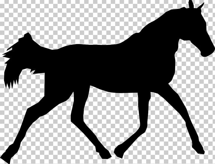 Horse Pony Silhouette PNG, Clipart, Animals, Art, Black And White, Bridle, Colt Free PNG Download