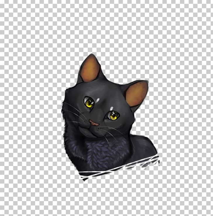 Korat Bombay Cat Domestic Short-haired Cat Whiskers Snout PNG, Clipart, Black Cat, Bombay, Bombay Cat, Burmese, Carnivoran Free PNG Download