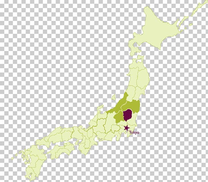 Map Ecoregion Tuberculosis PNG, Clipart, Ecoregion, Map, Niigata Prefecture, Travel World, Tuberculosis Free PNG Download
