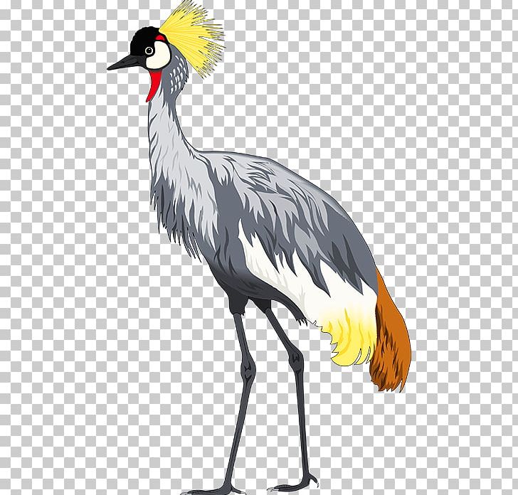 Crane Bird Reptile Drawing PNG, Clipart, Beak, Bird, Chicken, Ciconia, Crane Free PNG Download
