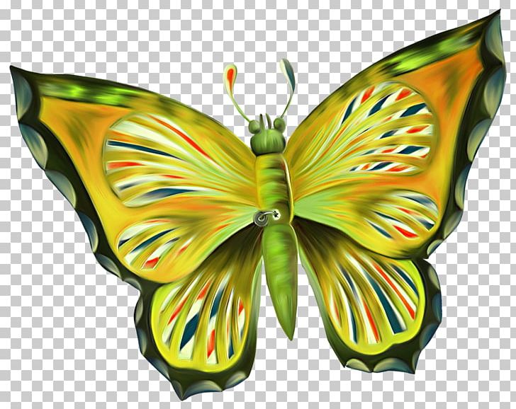 Monarch Butterfly PNG, Clipart, Animation, Arthropod, Brush Footed Butterfly, Butterflies And Moths, Butterfly Free PNG Download