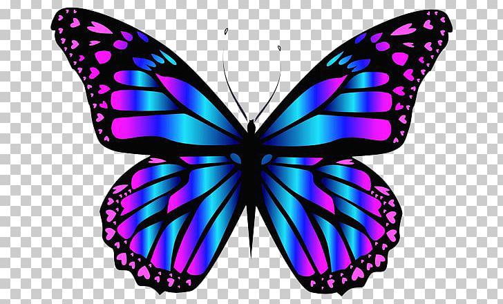 Butterfly Purple Blue Color PNG, Clipart, Animals, Apatura Ilia, Blue, Blue Butterfly, Blue Color Free PNG Download