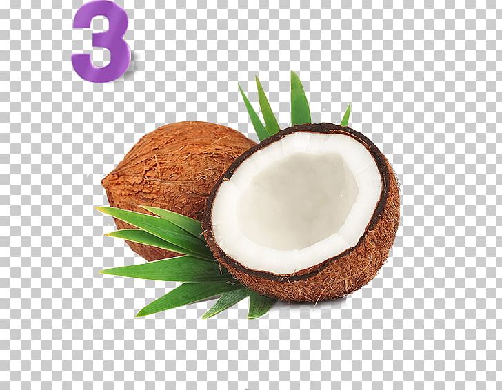 Nata De Coco Coconut Candy Coconut Oil Organic Food PNG, Clipart, Coconut, Coconut Candy, Coconut Milk Powder, Coconut Oil, Coconut Sugar Free PNG Download