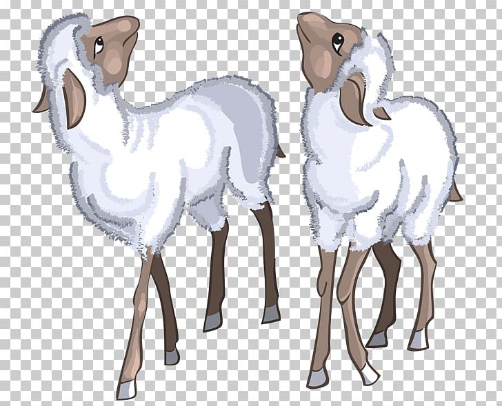 Sheep–goat Hybrid Argali Sheep–goat Hybrid PNG, Clipart, Animal Figure, Animals, Argali, Art, Blog Free PNG Download