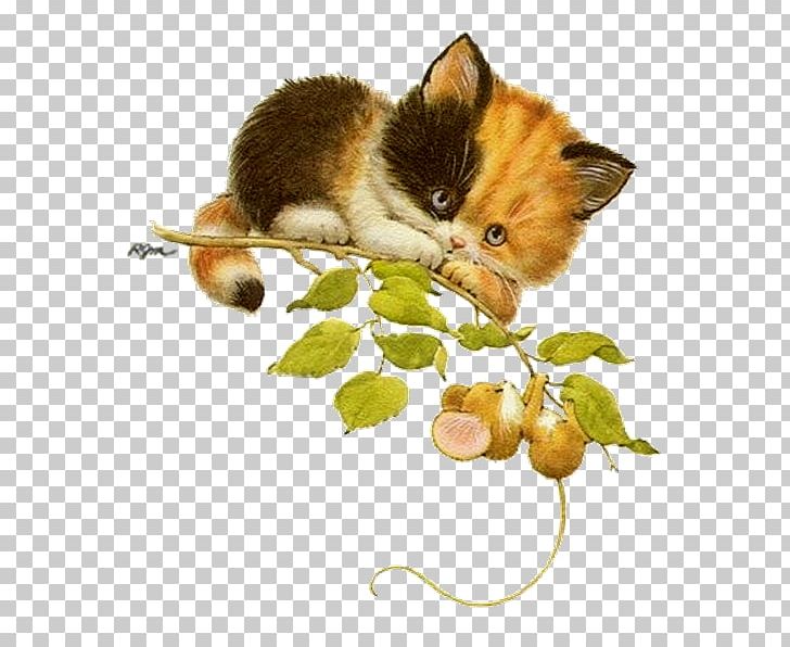 Kitten Whiskers Cat Mouse PNG, Clipart, Animals, Art, Calico, Calico Cat, Carnivoran Free PNG Download