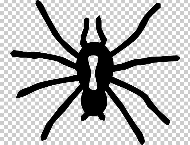Spider Web Halloween PNG, Clipart, Arthropod, Artwork, Black And White, Black House Spider, Halloween Free PNG Download