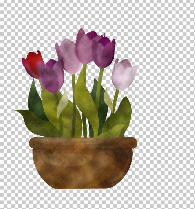 Flower Tulip Flowerpot Violet Purple PNG, Clipart, Crocus, Cut Flowers, Cyclamen, Flower, Flowerpot Free PNG Download