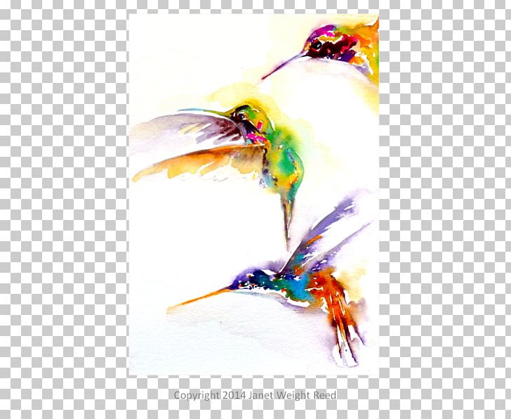 Hummingbird Beak Art Cat PNG, Clipart, Aluminium, Animals, Art, Beak, Bird Free PNG Download