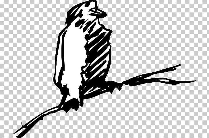 Bird Beak Drawing PNG, Clipart, Aile, Animals, Beak, Bird, Black Free PNG Download