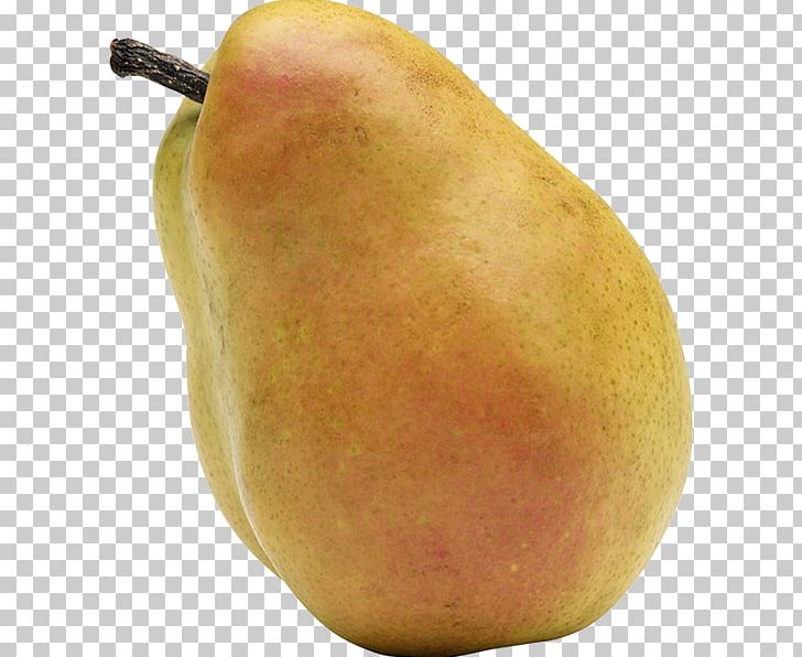 Bosc Pear Asian Pear PNG, Clipart, Armut, Armut Resimleri, Asian Pear, Bosc Pear, Computer Icons Free PNG Download