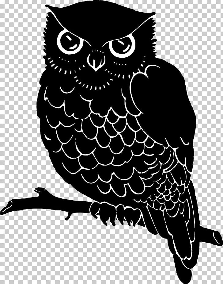 Owl Beak White Font PNG, Clipart, Animals, Beak, Bird, Bird Of Prey, Black And White Free PNG Download