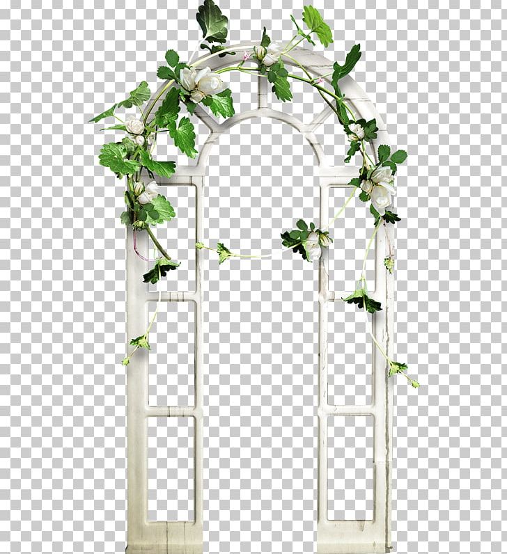 Photography Branch Window PNG, Clipart, Arch, Branch, Computer Graphics, Document File Format, Download Free PNG Download