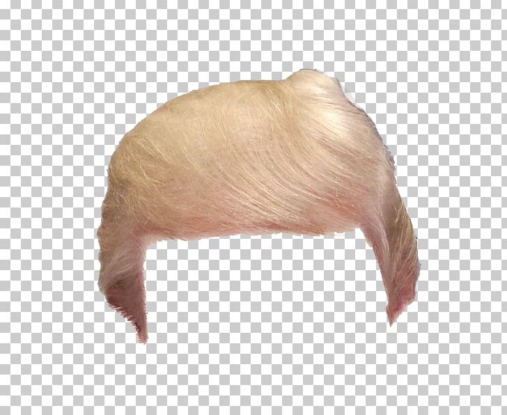 Hair Wig Make America Great Again PNG, Clipart, Data, Donald Trump, Flag Of Papua New Guinea, Hair, Head Free PNG Download