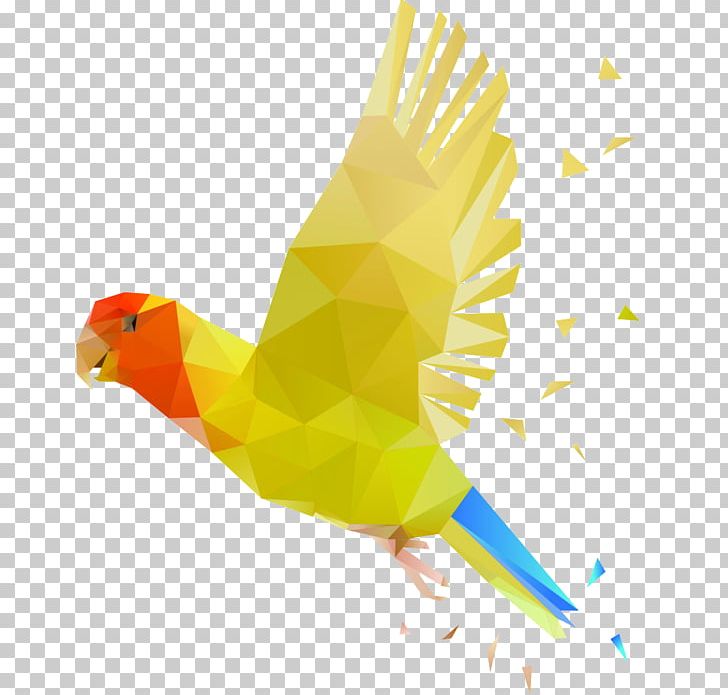 Parrot Bird PNG, Clipart, Animals, Beak, Bird, Birds, Color Free PNG Download