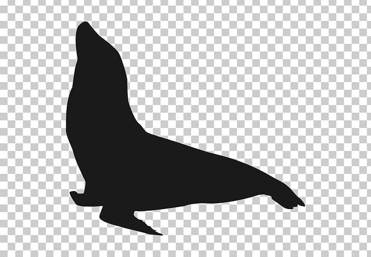 California Sea Lion Silhouette PNG, Clipart, Animal, Animals, Aquatic Animal, Beak, Black Free PNG Download