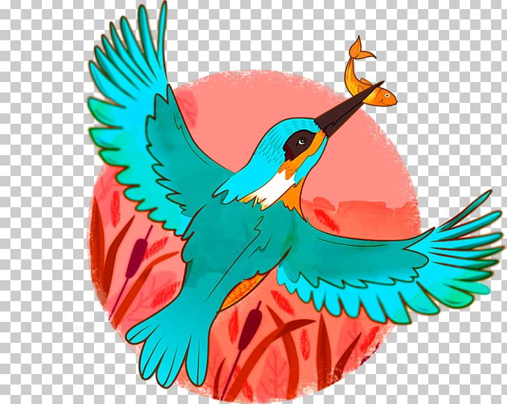 Macaw Parakeet Feather PNG Clipart Animals Beak Bird Common Pet 
