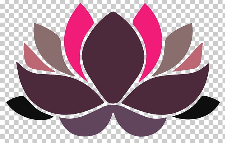 Nelumbo Nucifera Buddhism Padma Great Buddha Plant Symbolism PNG, Clipart, Advocate, Buddhism, Buddhist Prayer Beads, Computer Wallpaper, Egyptian Lotus Free PNG Download