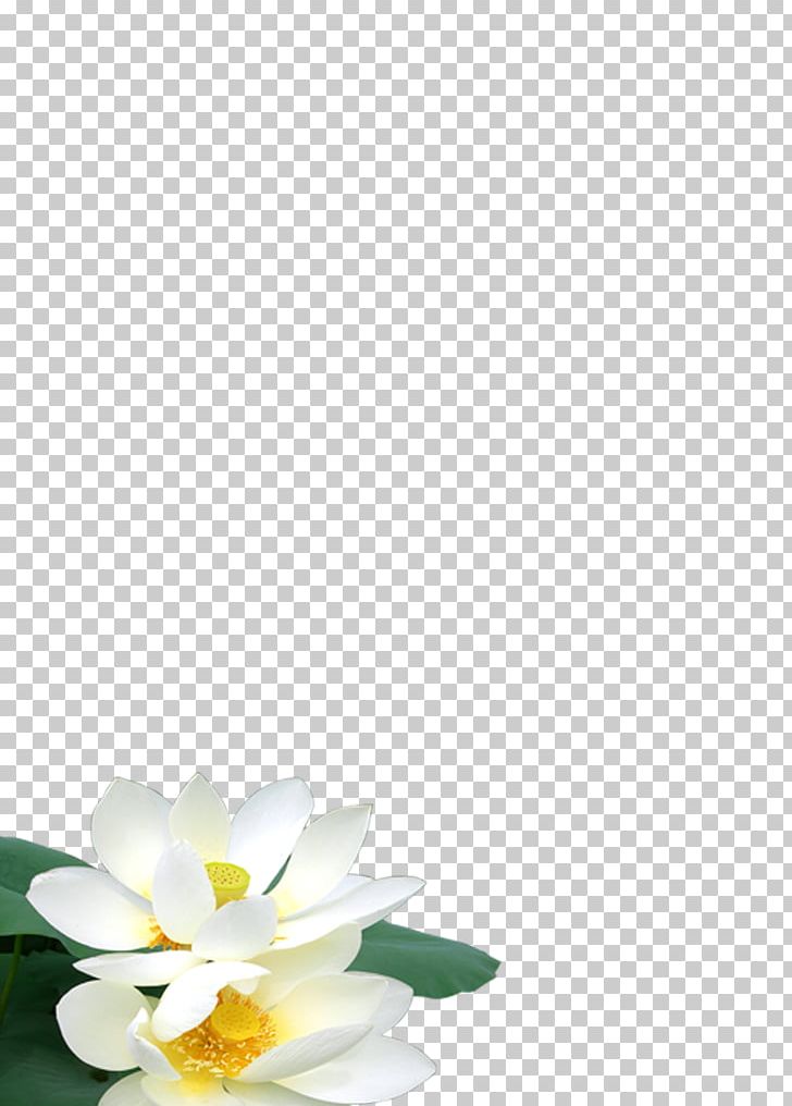 Petal Floral Design Campus Pattern PNG, Clipart, Beautiful, Campus, Element, Floral Design, Flower Free PNG Download