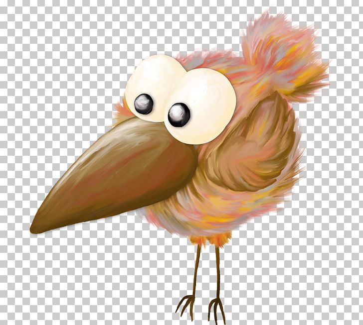 Chicken Cartoon Bird PNG, Clipart, Animals, Beak, Bird, Blog, Cartoon Free PNG Download