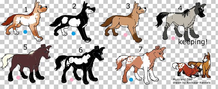 Mule Foal Mustang Pony Colt PNG, Clipart, Border Collie, Camel Like Mammal, Carnivoran, Colt, Dog Free PNG Download