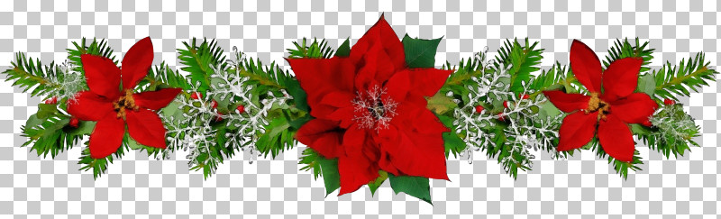 Christmas Decoration PNG, Clipart, Christmas, Christmas Decoration, Flower, Holly, Leaf Free PNG Download