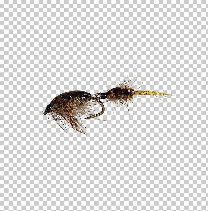Artificial Fly Fly Fishing Insect Hare's Ear PNG, Clipart,  Free PNG Download