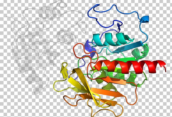 Graphic Design PNG, Clipart, Area, Art, Artwork, Carbamoyl Phosphate Synthetase I, Graphic Design Free PNG Download