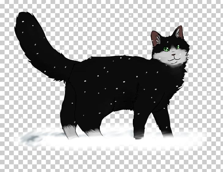 Manx Cat Black Cat American Wirehair Kitten Domestic Short-haired Cat PNG, Clipart, American Wirehair, Black, Black Cat, Black M, Canidae Free PNG Download