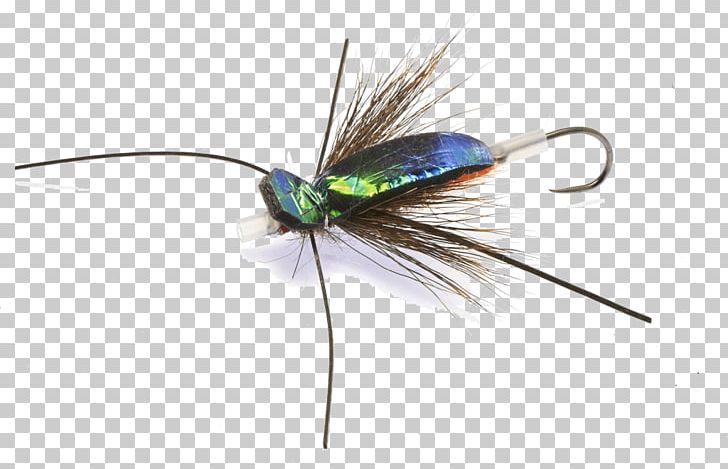 Artificial Fly Fly Fishing Rainbow Trout PNG, Clipart, Angling, Artificial Fly, Beetle, Com, Dry Fly Fishing Free PNG Download