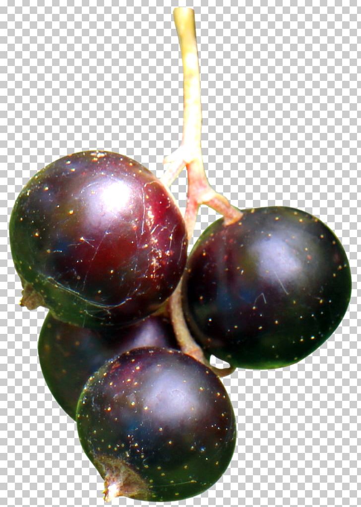 Blackcurrant Frutti Di Bosco Grape Fruit PNG, Clipart, Apple, Berries, Berry, Blackcurrant, Black Currant Free PNG Download
