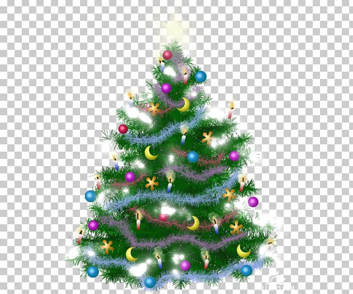 Christmas Tree Christmas Ornament Spruce Fir Pine PNG, Clipart, Christmas, Christmas Decoration, Christmas Ornament, Christmas Tree, Conifer Free PNG Download