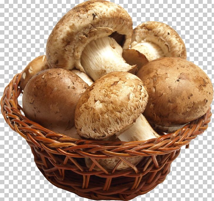Edible Mushroom Shiitake Morchella Food PNG, Clipart, Agaricaceae, Agaricomycetes, Agaricus, Amanita, Amanita Muscaria Free PNG Download