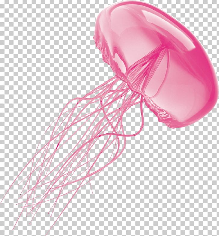 Jellyfish PNG, Clipart, Clip Art, Computer Icons, Desktop Wallpaper, Download, Energy Free PNG Download