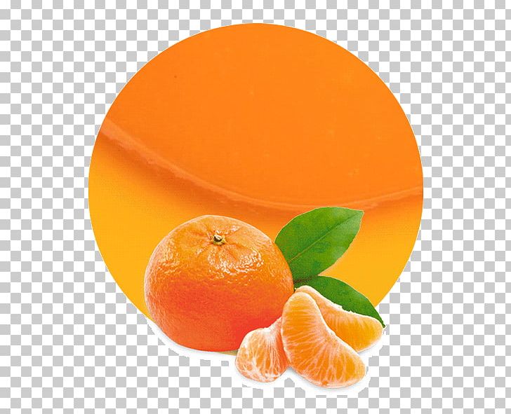 Juice Mandarin Orange Learning Fruits PNG, Clipart, Citric Acid, Citrus, Clementine, Food, Fruit Free PNG Download