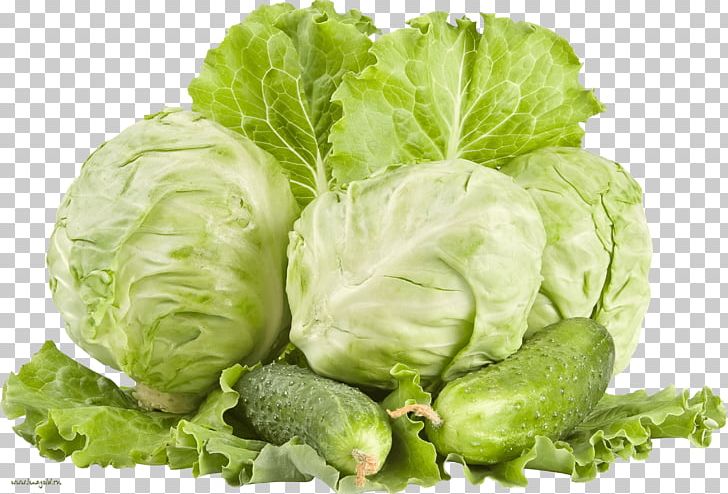 Red Cabbage White Cabbage Vegetable Cauliflower PNG, Clipart, Brussels Sprout, Business, Cabbage, Chinese Cabbage, Cocoa Free PNG Download